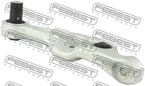 Right Lower Front Arm