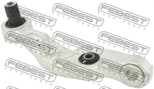 Left Lower Front Arm