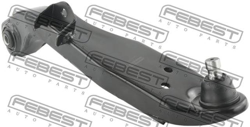 Right Lower Front Arm