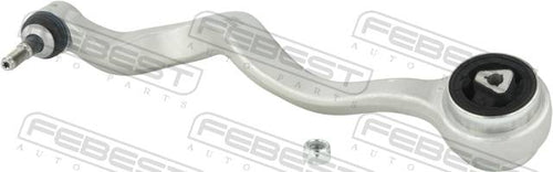 Right Lower Front Arm