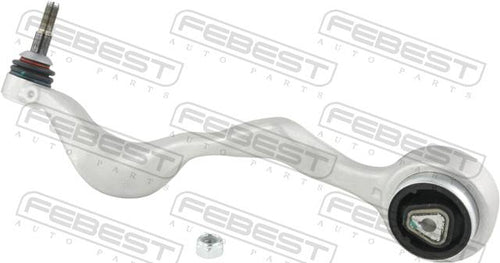 Right Lower Front Arm
