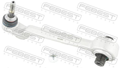 Right Lower Front Arm