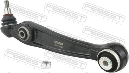 Right Lower Front Arm