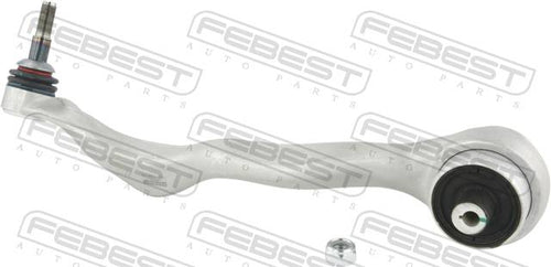 Right Lower Front Arm