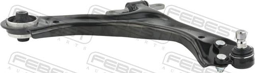 Right Lower Front Arm
