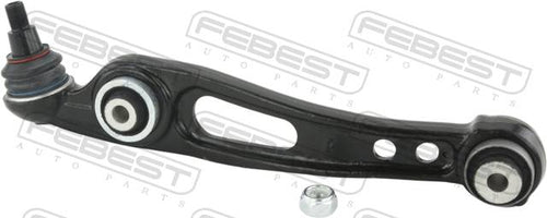 Right Lower Front Arm