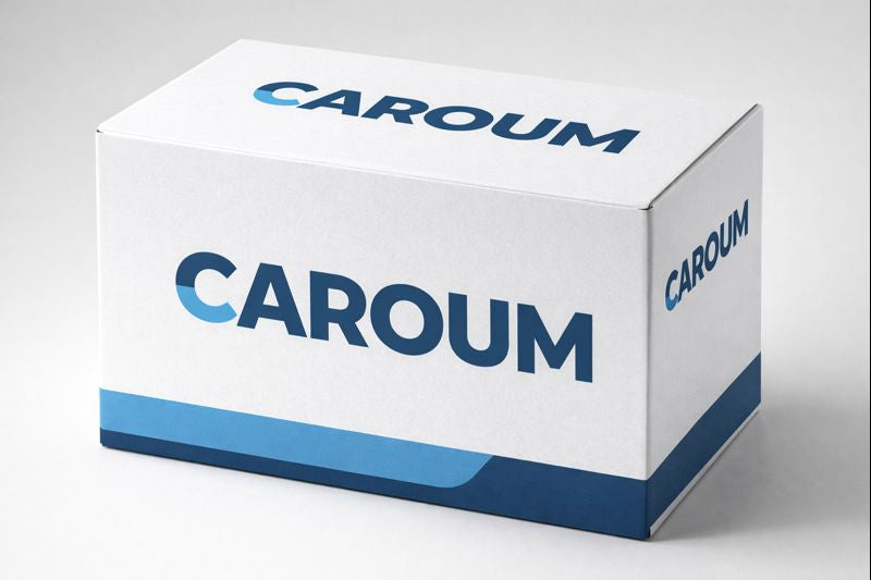 Shock Absorber Mounting