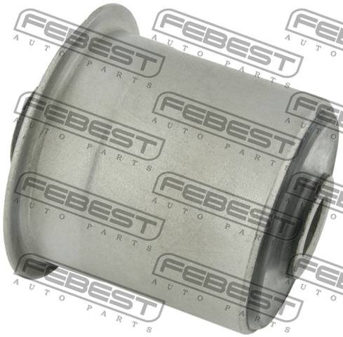 Bushing, Rear Trailing Arm