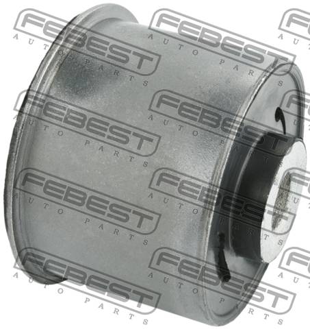 Bushing, Rear Lower Trailing Arm