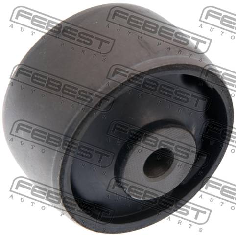 Bushing, Rear Trailing Arm