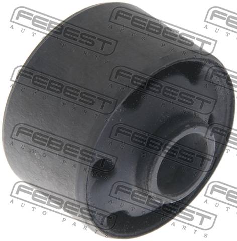 Rear Trailing Rod Bushing