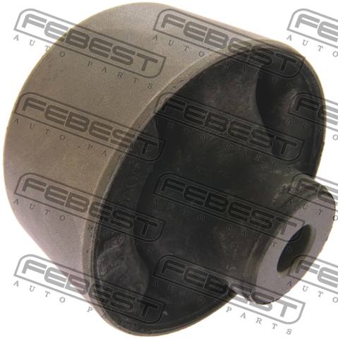 Bushing, Rear Trailing Arm