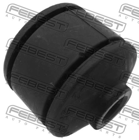 Rear Trailing Rod Bushing